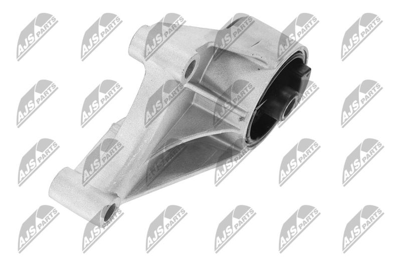 Paigutus, Mootor, NTY ZPS-PL-069