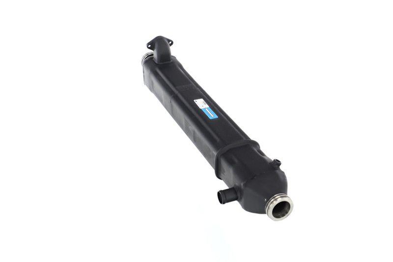 REMANTE 010-001-000024R EGR Module