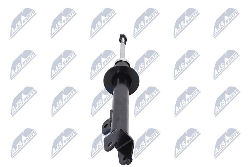 Amort, NTY A-CH-070