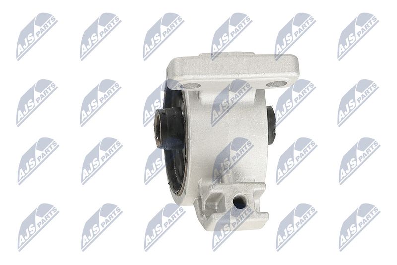 Paigutus, Mootor, NTY ZPS-KA-318