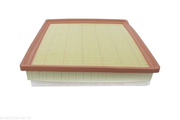 AUTOMEGA 180031810 Air Filter
