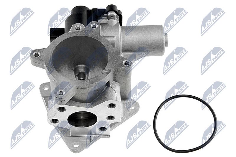 egr-vw-003_6-wm.JPG