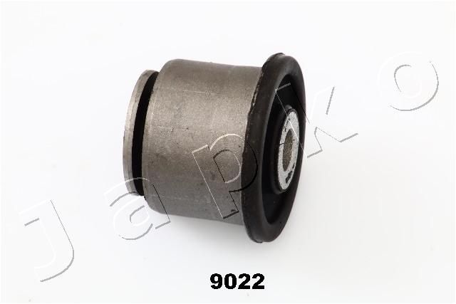 GOJ9022_1.JPG