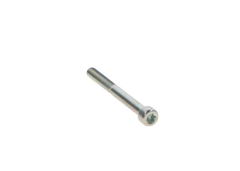 BOSCH 2469403076 Screw