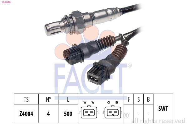 10.7036-FA.JPG