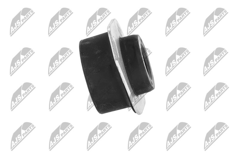 Paigutus, Mootor, NTY ZPS-PE-009