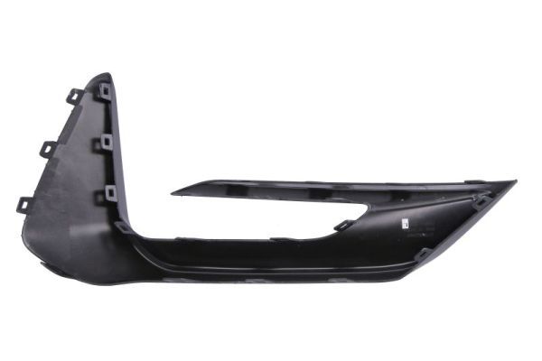 BLIC 6502-07-2538923P Trim/Protection Strip, bumper