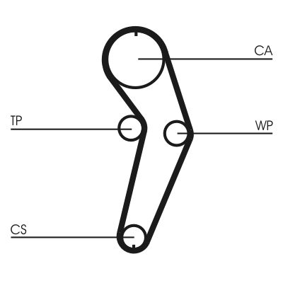 CONTINENTAL CTAM CT988 Timing Belt