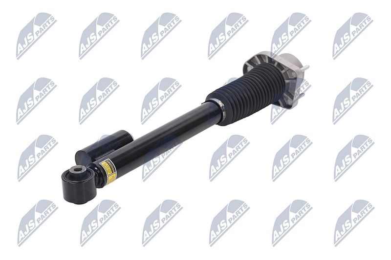 Amort, NTY A-LR-019