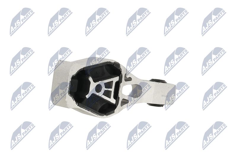 Paigutus, Mootor, NTY ZPS-PE-044
