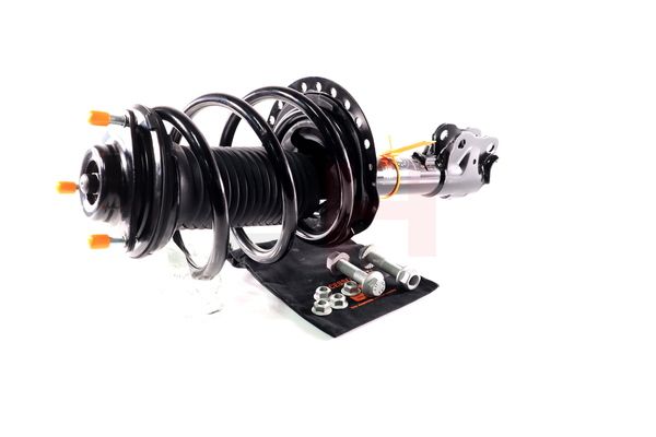 Vedruamort, GH GH-353057C01