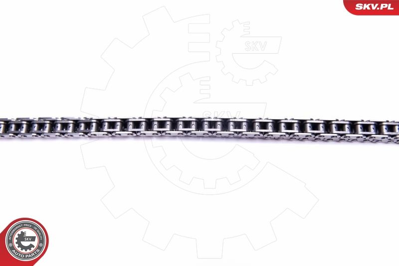 ESEN SKV 21SKV121 Timing Chain Kit