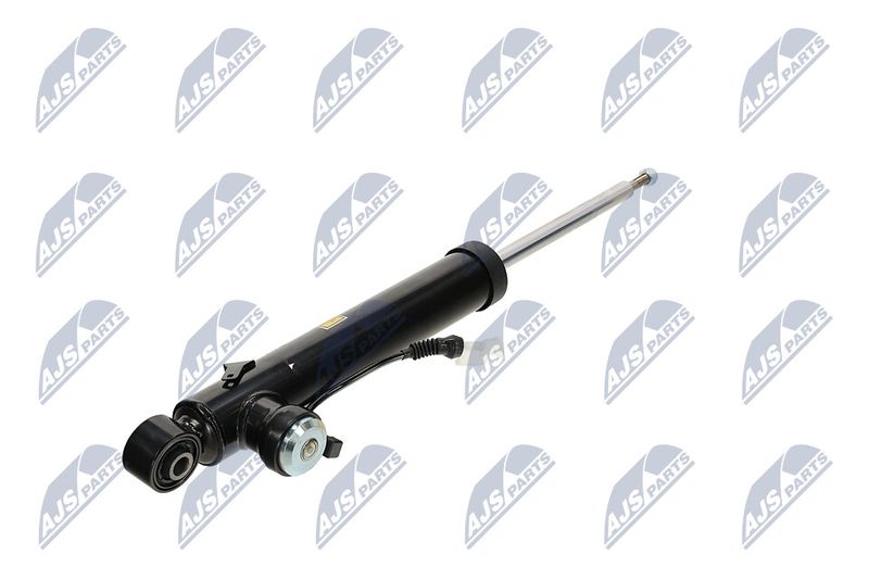 Amort, NTY A-PL-065