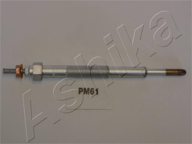 PM61_1.JPG