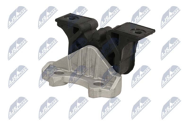 Paigutus, Mootor, NTY ZPS-PL-055