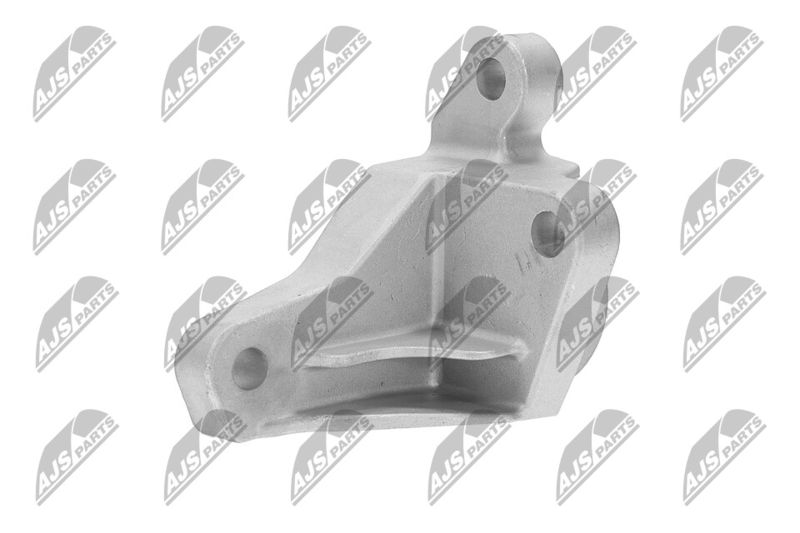 Paigutus, Mootor, NTY ZPS-FR-066