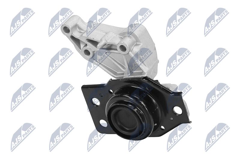 NTY ZPS-RE-071 Mounting, engine
