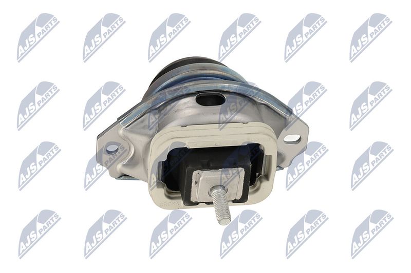 Paigutus, Mootor, NTY ZPS-LR-019