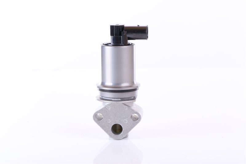 Izpl. gāzu recirkulācijas vārsts