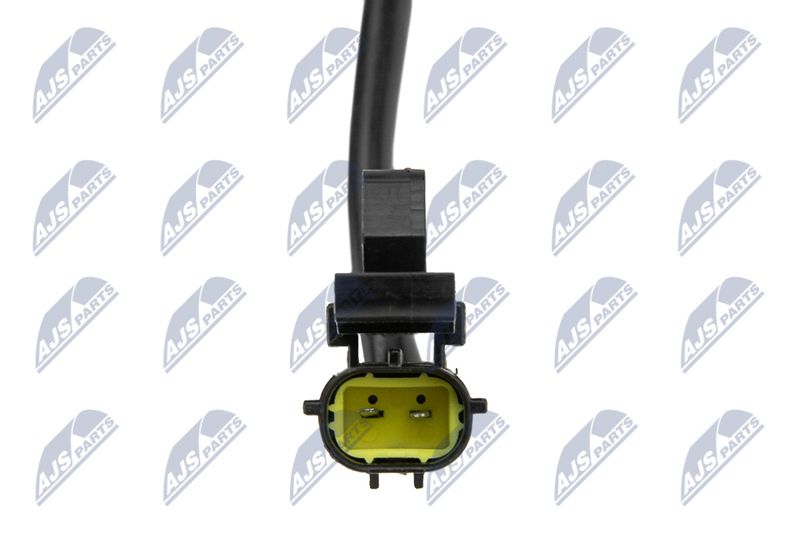 EZC-LR-026_4-WM.JPG
