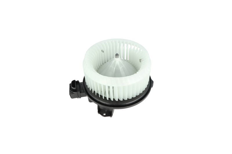 Salongipuhur, NRF 34244