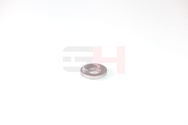 caster shim, sillatala, GH GH-391582