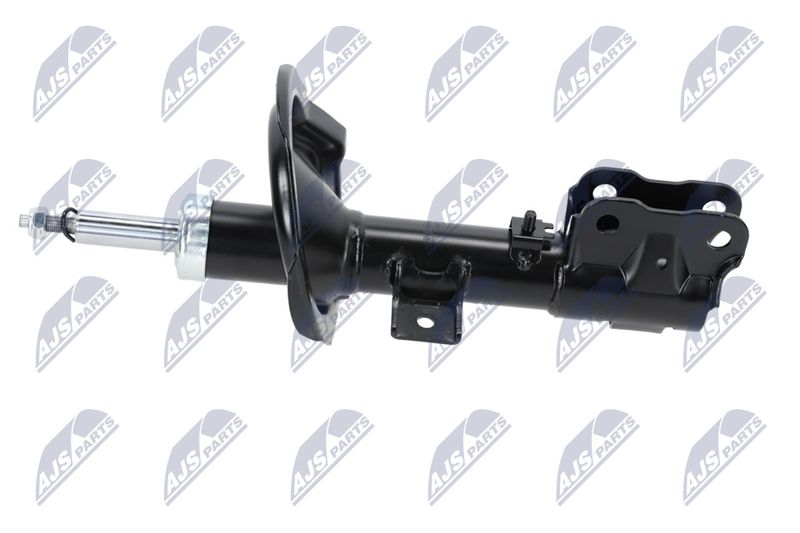 Amort, NTY A-MS-016