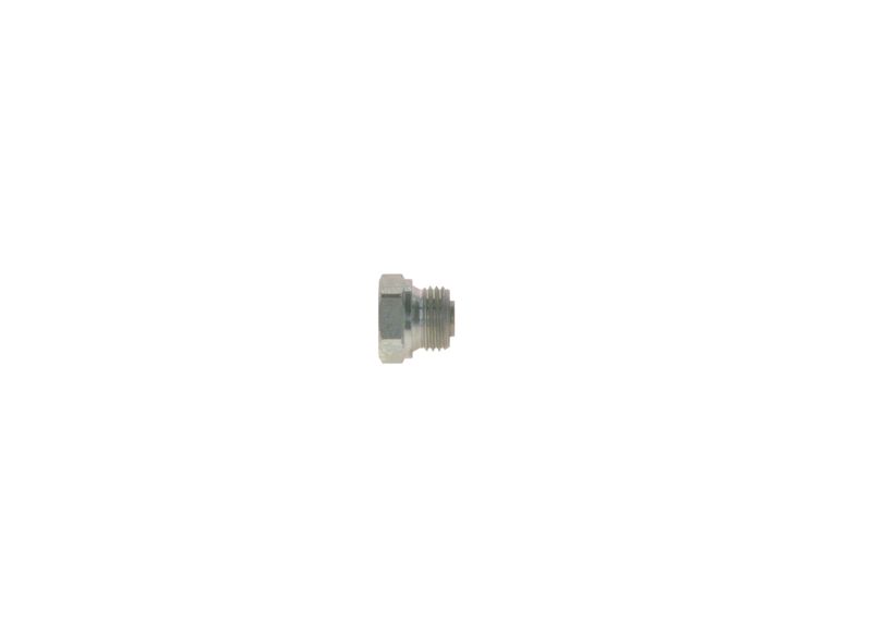 BOSCH 2 443 462 009 Screw
