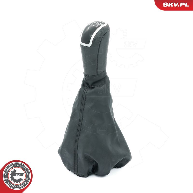 Käigukanginupp, ESEN SKV...