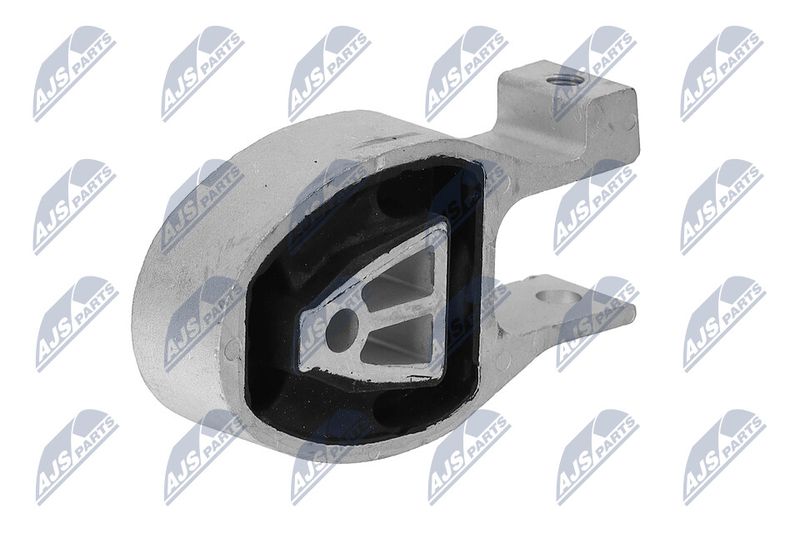 Paigutus, Mootor, NTY ZPS-FR-038