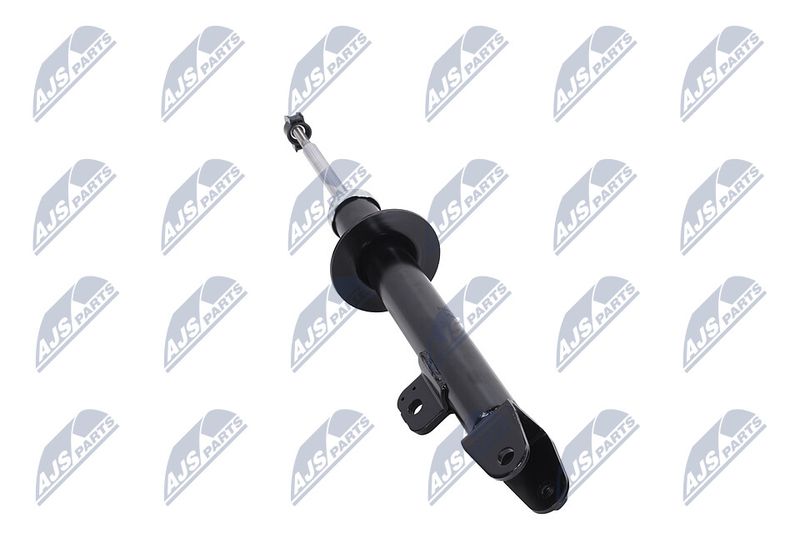 Amort, NTY A-CH-070