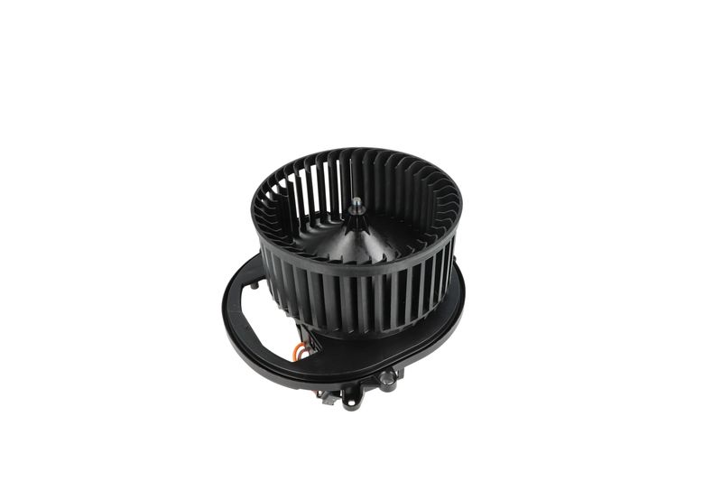 Salongipuhur, NRF 34236