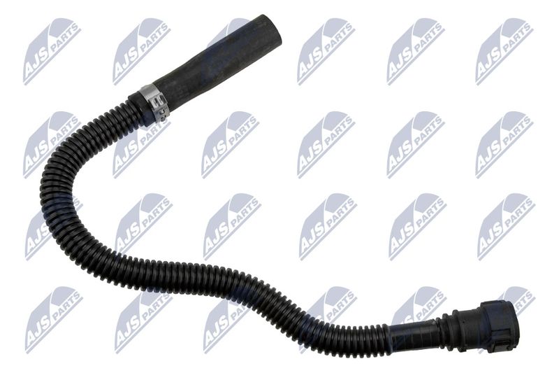 BPP-CT-029_3-WM.JPG