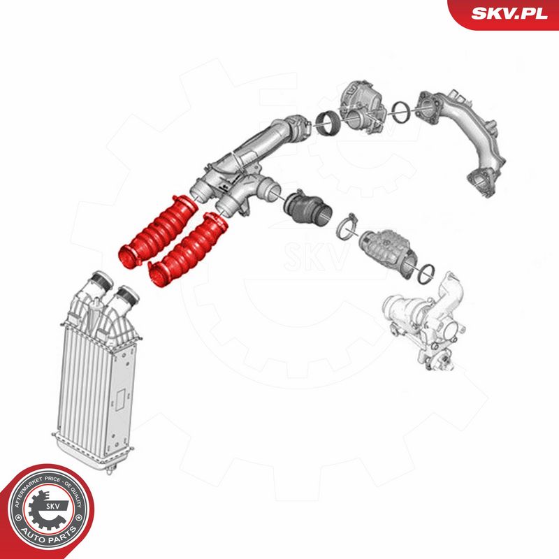 ESEN SKV 24SKV779 Charge Air Hose