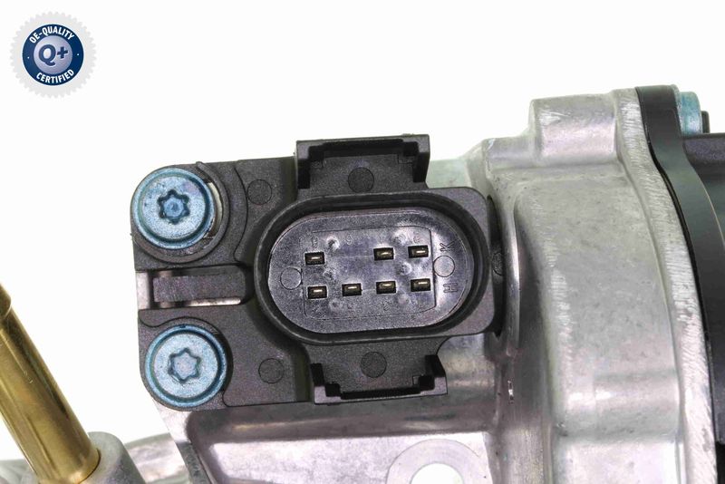 V10-81-0008_03.JPG