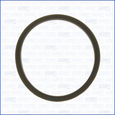 00917600.JPG