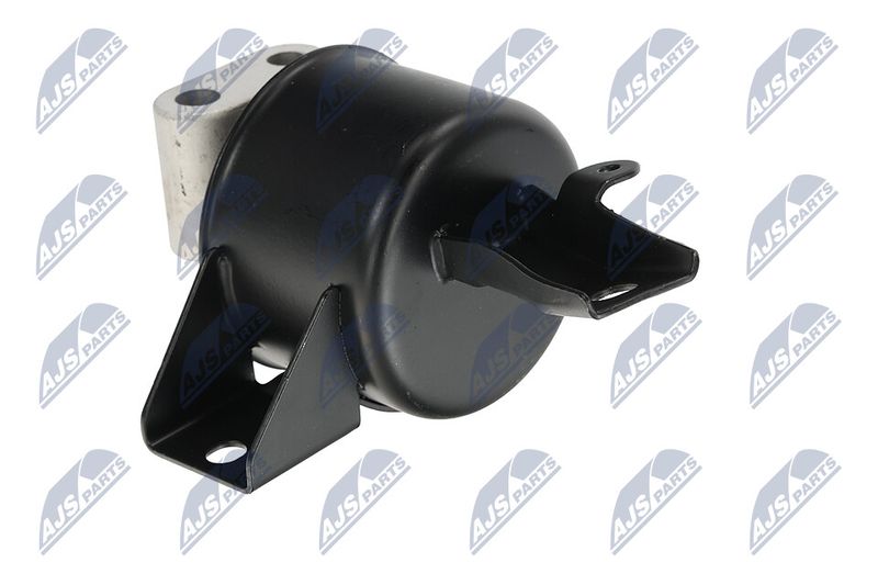 Paigutus, Mootor, NTY ZPS-DW-010