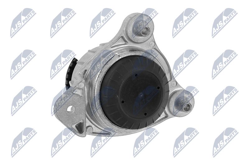 Paigutus, Mootor, NTY ZPS-ME-066