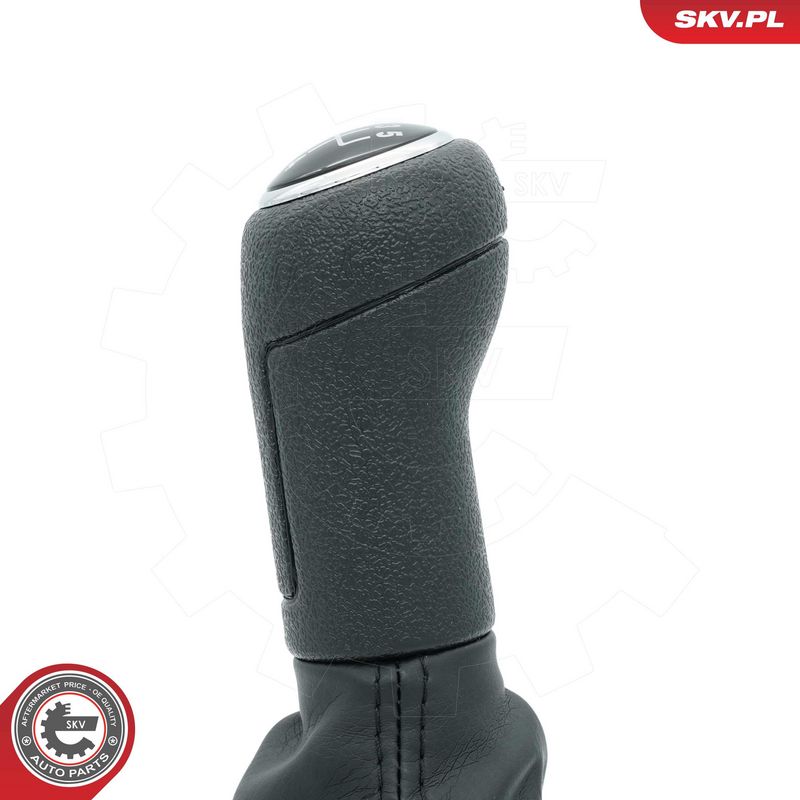 Käigukanginupp, ESEN SKV 63SKV495