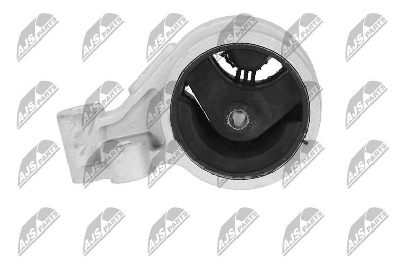 Paigutus, Mootor, NTY ZPS-KA-312