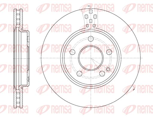 REM61029-10-MODEL.BMP