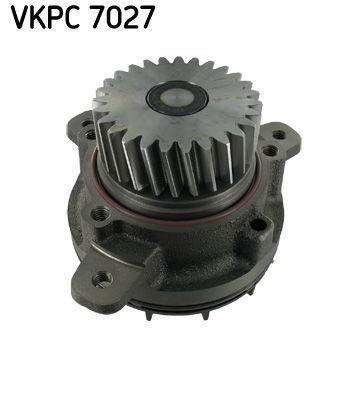 VKPC 7027.JPG