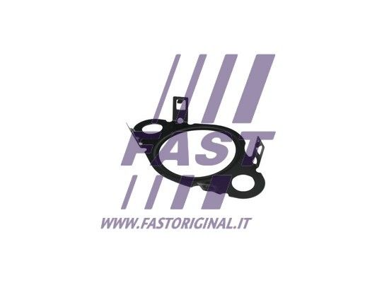 FT50604_2_1.JPG