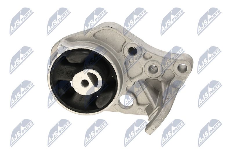 Paigutus, Mootor, NTY ZPS-CH-113