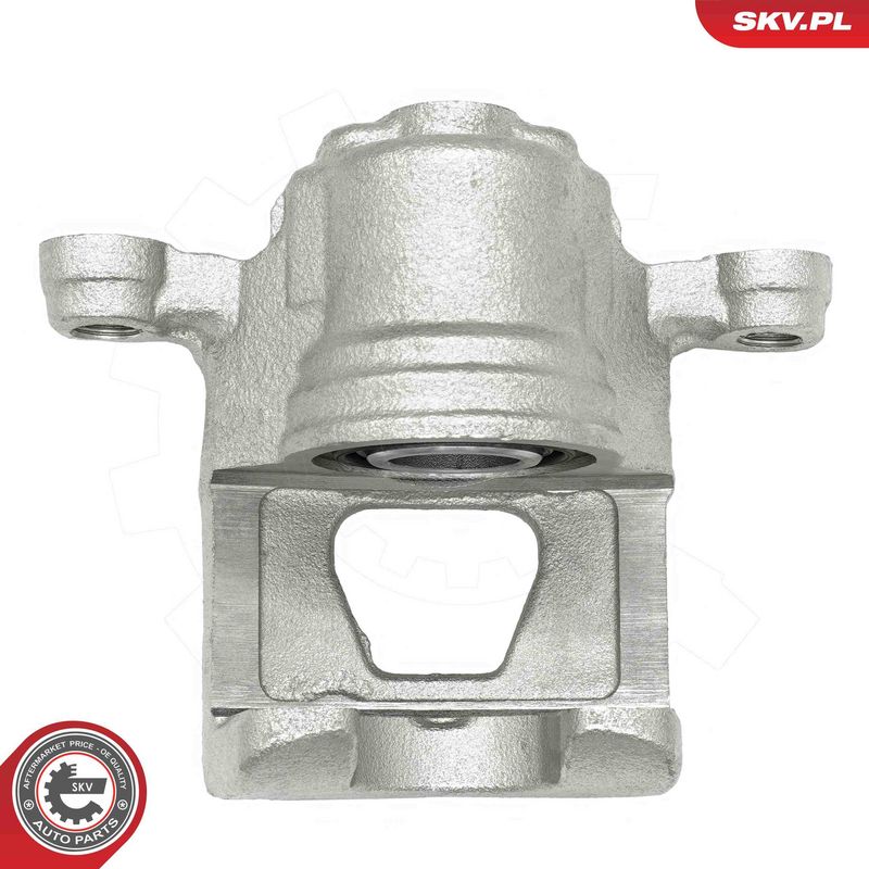 ESEN SKV 78SKV193 Brake Caliper