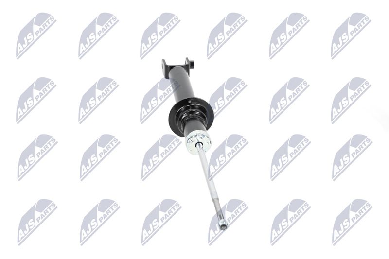Amort, NTY A-CH-055
