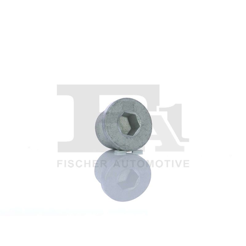 FA1 257.858.001 Screw Plug, oil sump