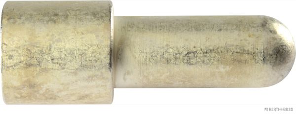 51305917050.JPG