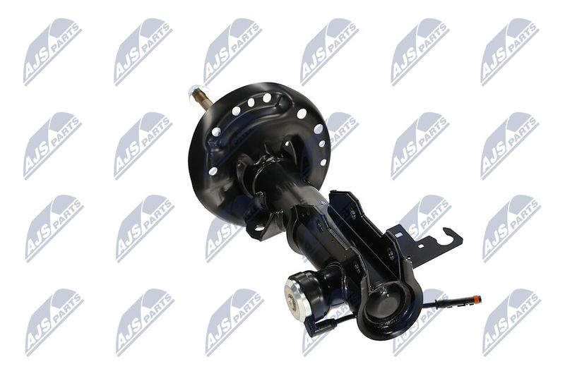 Amort, NTY A-PL-062