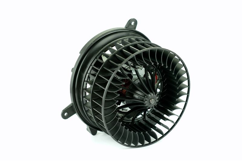 Salongipuhur, NISSENS 87152